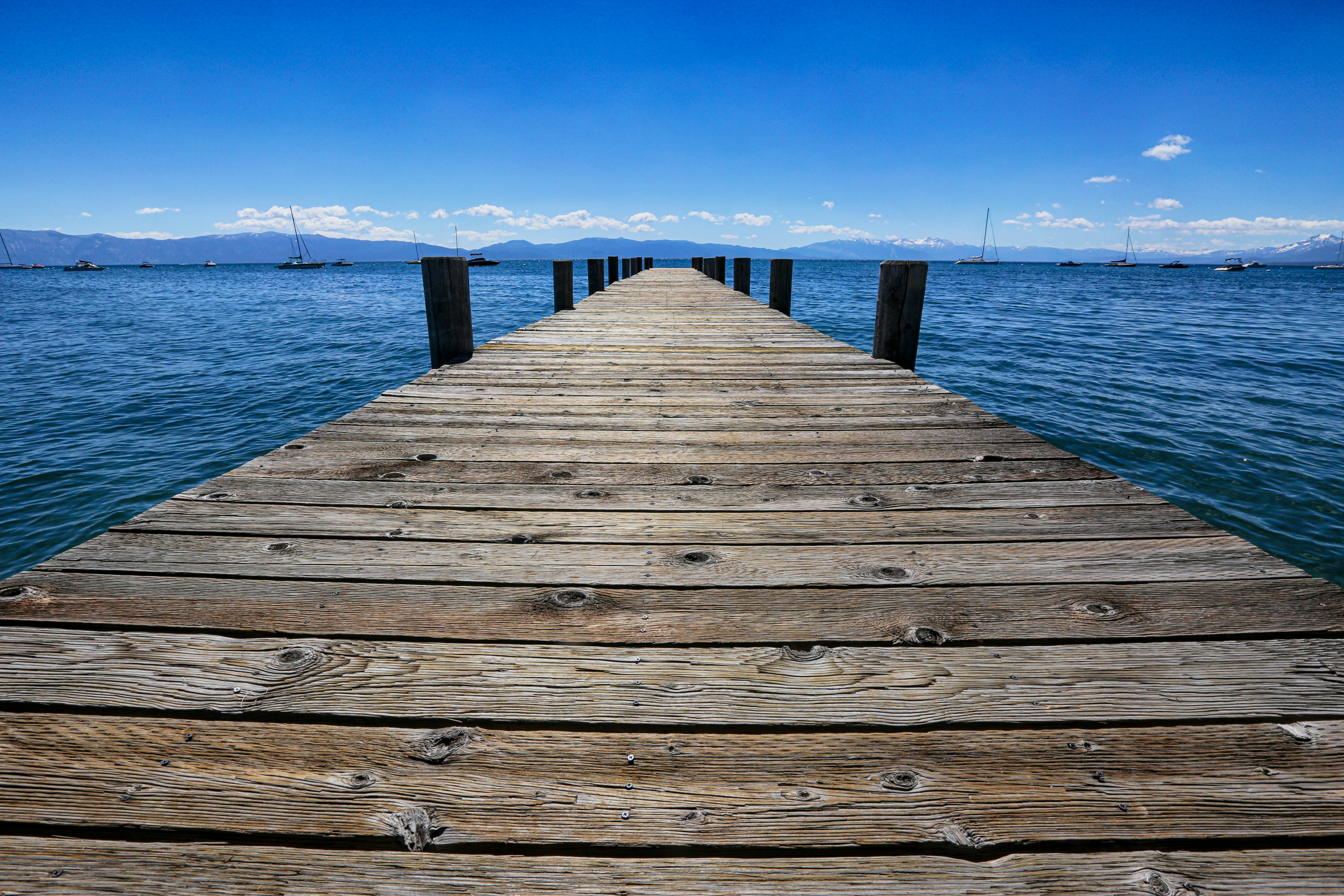 brown wooden dock